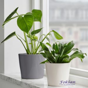 Saksija bela keramička 9 cm